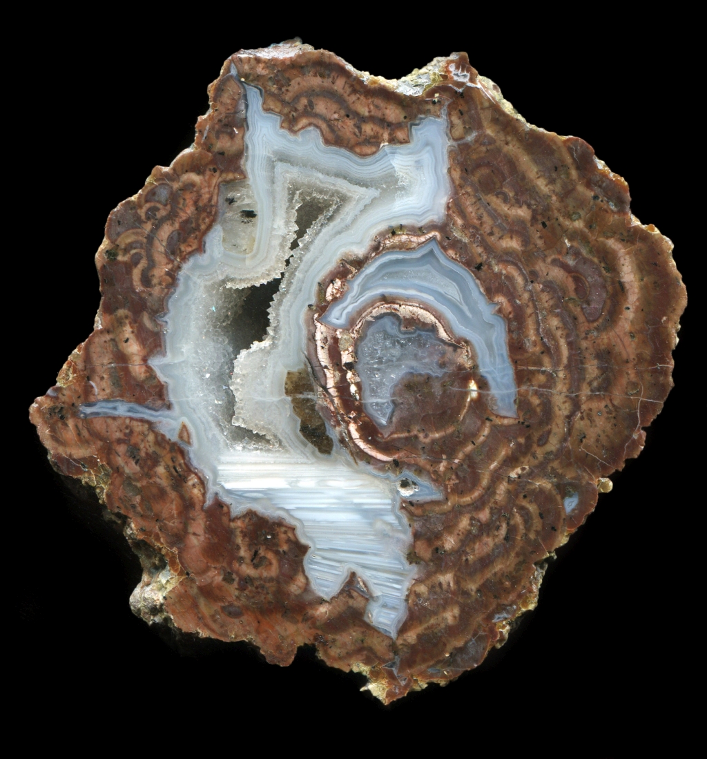 Exquisite Turkeytail Thunderegg with a Pink Core